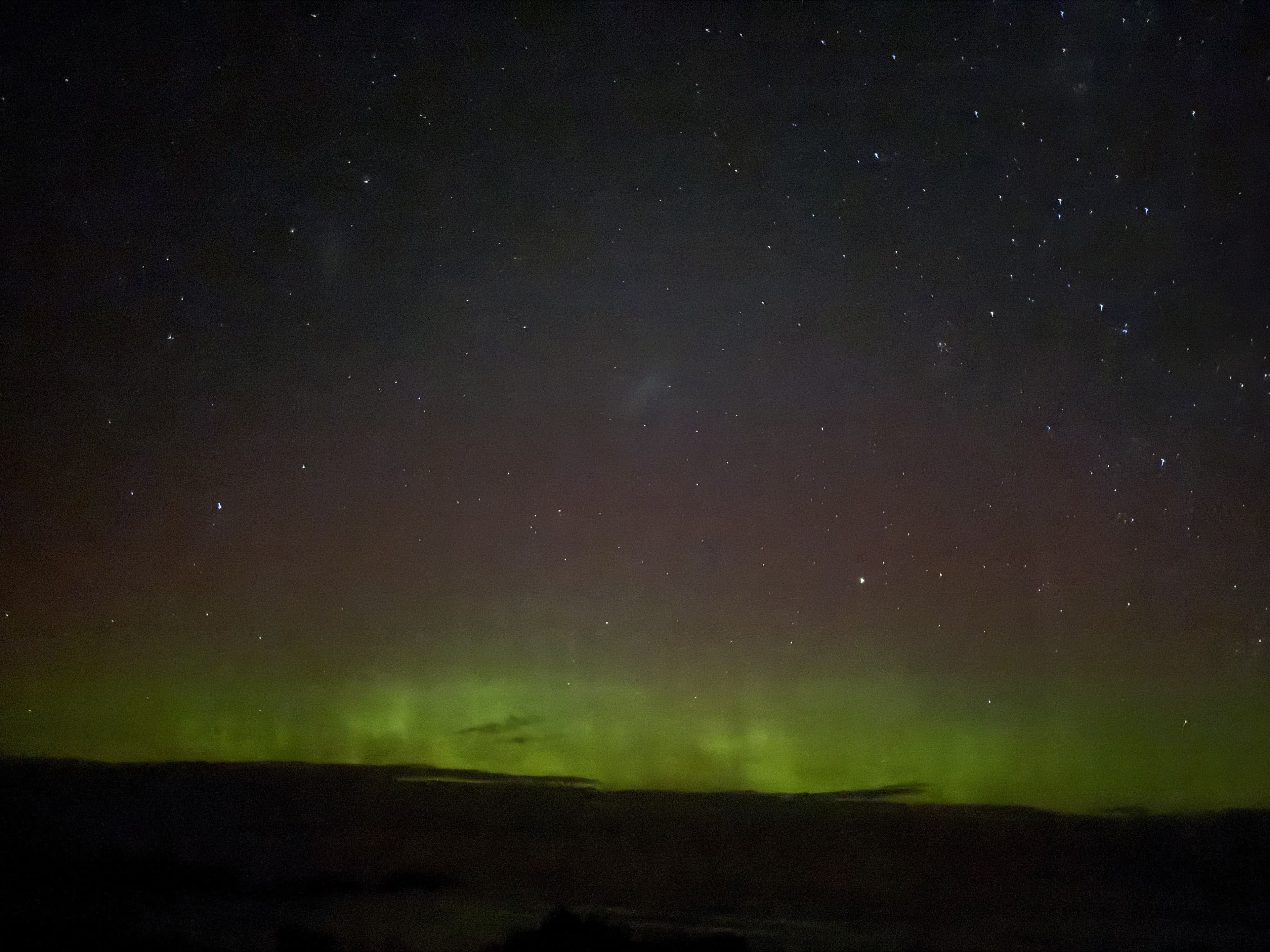 Dunedin & Caitlins